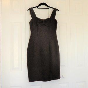 NWOT Empire Waist Sleeveless Brown Dress in Size S